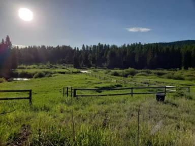 Main picture of 5216 Fortine Crk Rd