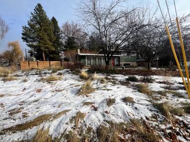 Main picture of 806 S Owyhee St
