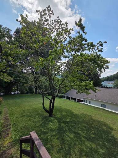 Main picture of 65 Mystic Ln