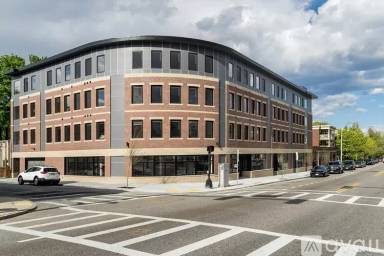 Main picture of 317 Belgrade Ave