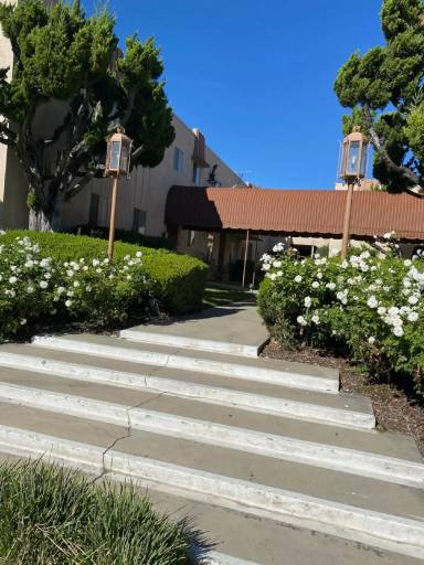 Main picture of 249 Amber Ct