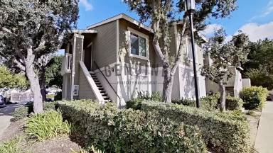 Main picture of 26302 Los Viveros