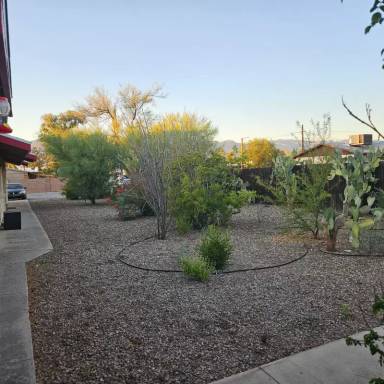 Main picture of 1603 N Louis Ln