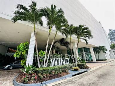 Main picture of The Wind