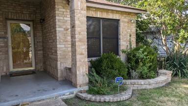 Main picture of 5015 Viking Coral