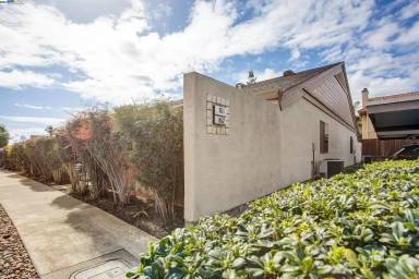 Main picture of 851 Villa Ter
