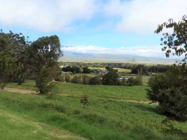 Main picture of 64-864 Mamalahoa Hwy