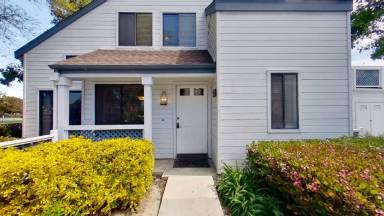 Main picture of 101 Fallingstar