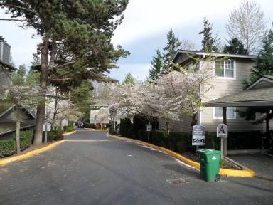 Main picture of 1127 N 198th St