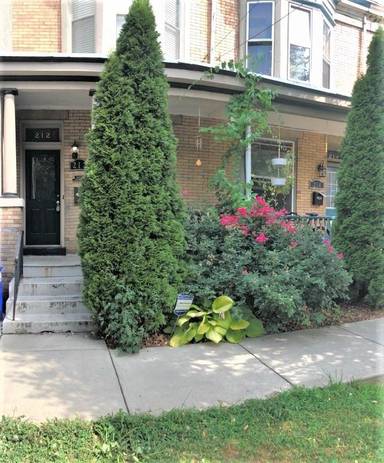 Main picture of 212 Muench St