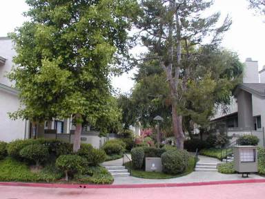Main picture of 3216 Caminito Eastbluff
