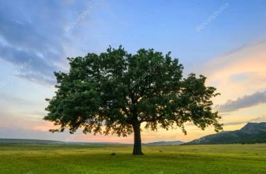 Main picture of 16185 Highway