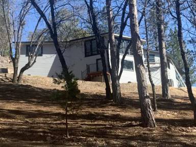 Main picture of 3900 Wilson Loop