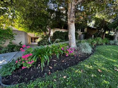 Main picture of 10229 De Soto Ave