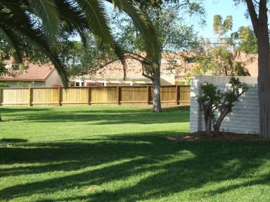 Main picture of 955 Wren Way