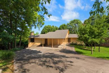 Main picture of 931 N Oak Dr
