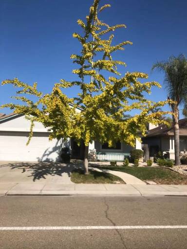 Main picture of 1039 Norman Dr