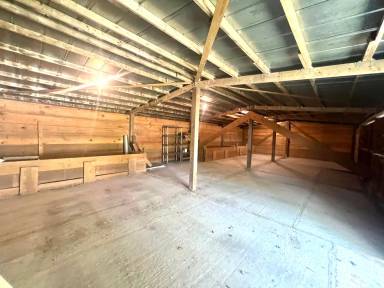 Main picture of 207 Whispering Pines Ct