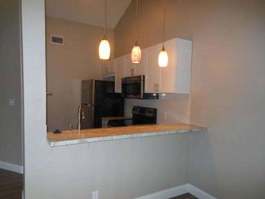 Main picture of Paradise Cove Condominiums