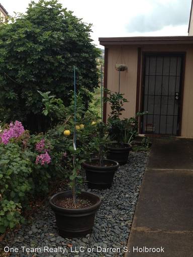 Main picture of 98-1429 Kaahumanu St