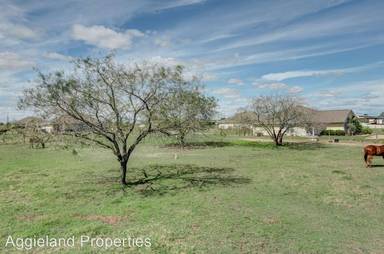 Main picture of Flying Ace Ranch