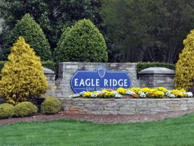 Main picture of 172 Mickleson Ridge Dr