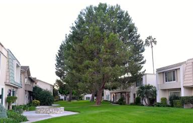 Main picture of 11086 El Amarillo Ave