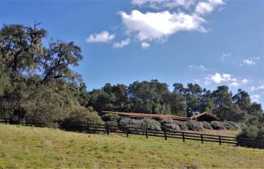 Main picture of 3396 Long Valley Rd