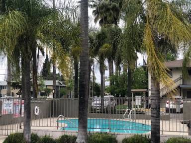 Main picture of Las Palmas Apartments