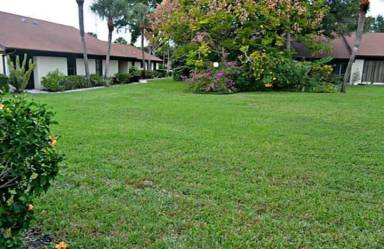 Main picture of 1320 Daffodil Pl