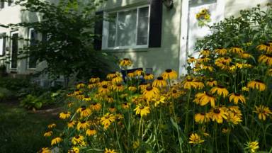 Main picture of 1729 N Cliff St