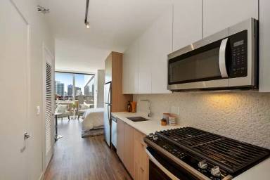 Main picture of 1499 S Michigan Ave