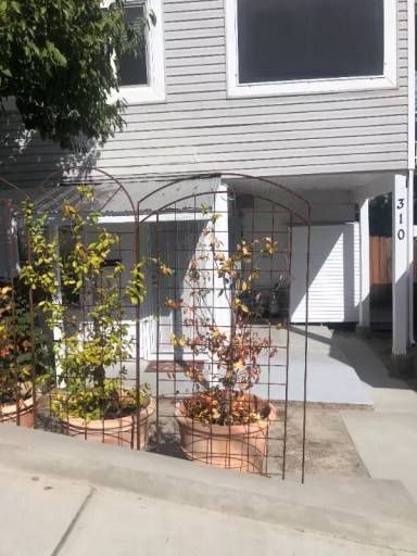 Main picture of 310 Richardson St