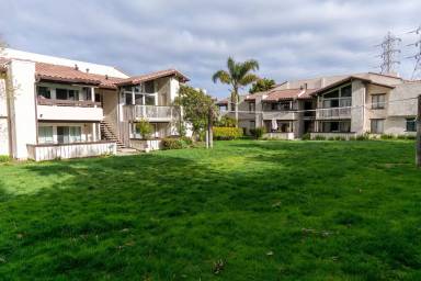 Main picture of Sea Spray