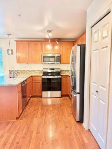 Main picture of Nelson Apartments