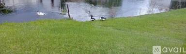 Main picture of 1531 Killarney Dr