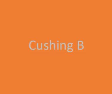 Main picture of 3631 Cushing Dr