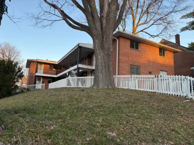 Main picture of 333 N Ellis St
