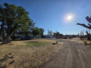 Main picture of 2021 Road 48