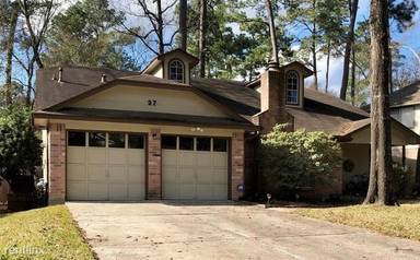 Main picture of 27 N Drifting Leaf Ct
