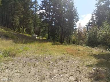 Main picture of 344 Peters Creek Way