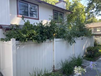 Main picture of 2539 Blue Rock Ct