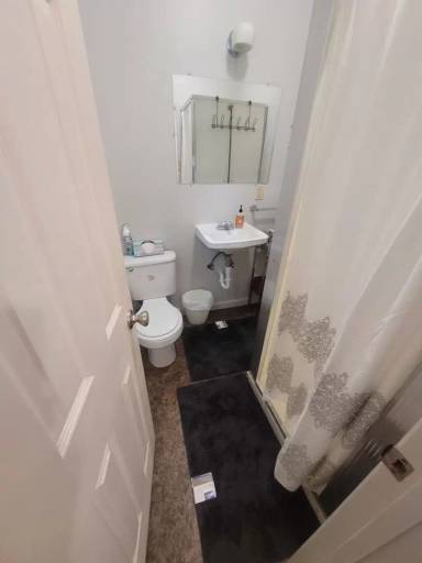 Main picture of 1506 1/2 Palmer St