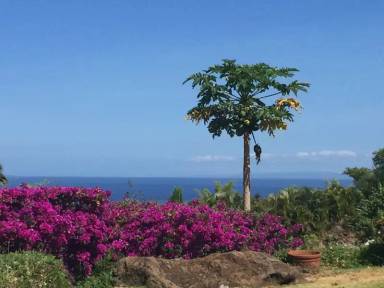Main picture of 80 Paia Pohaku St