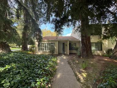 Main picture of 100 Hartnell Pl