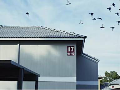 Main picture of Enclave