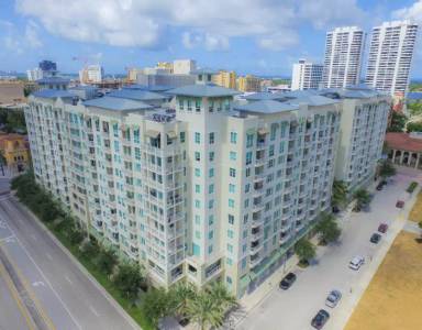 Main picture of CITY PALMS