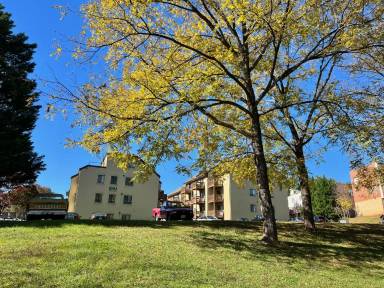 Main picture of Linden Town Lofts