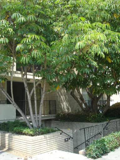 Main picture of 1421 Midvale Ave