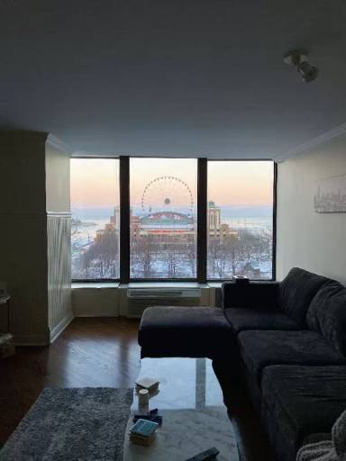 Main picture of Lake Point Tower Condominium